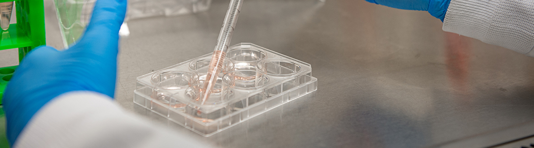 Gloved hands hold a dropper in a lab